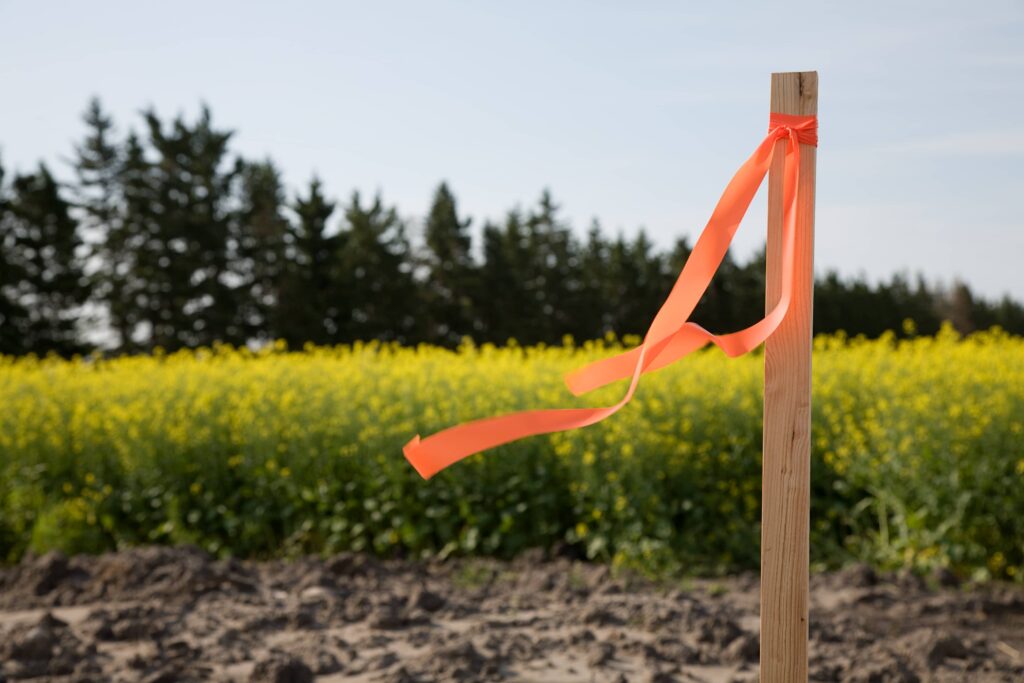 Adverse Possession in Tennessee: Understanding Property Rights