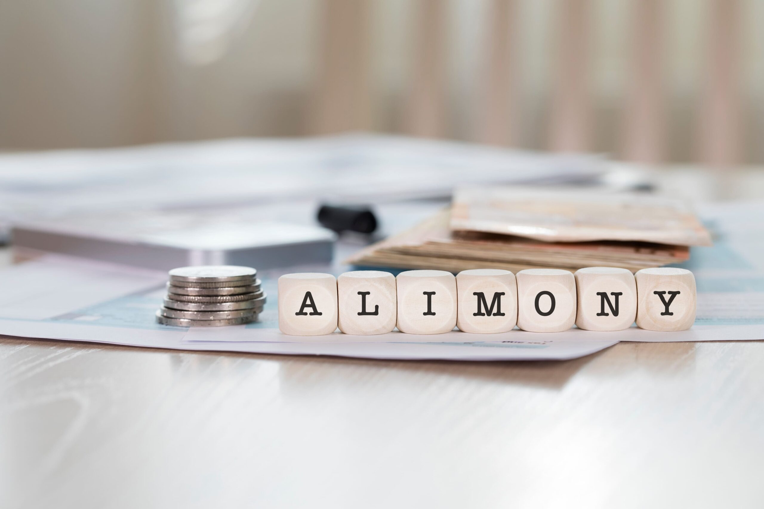 Alimony and Spousal Support Disputes in Tennessee