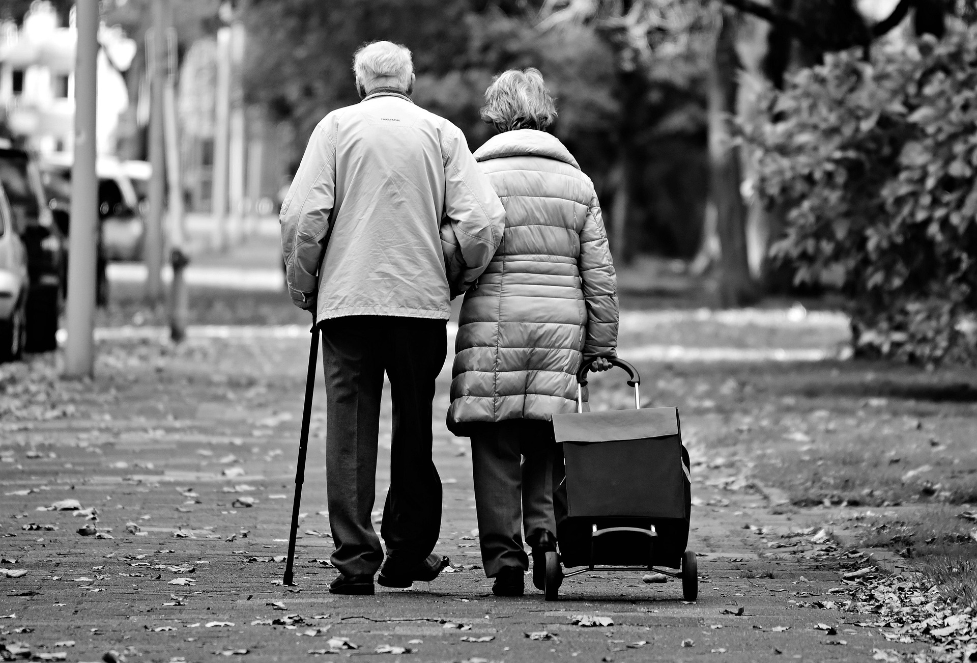 Guardianship for Elderly or Incapacitated Adults in Tennessee