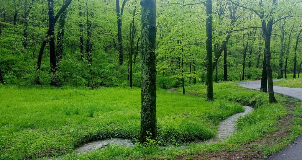 Pigeon Forge Estate Planning Lawyer – Champagne Law Firm