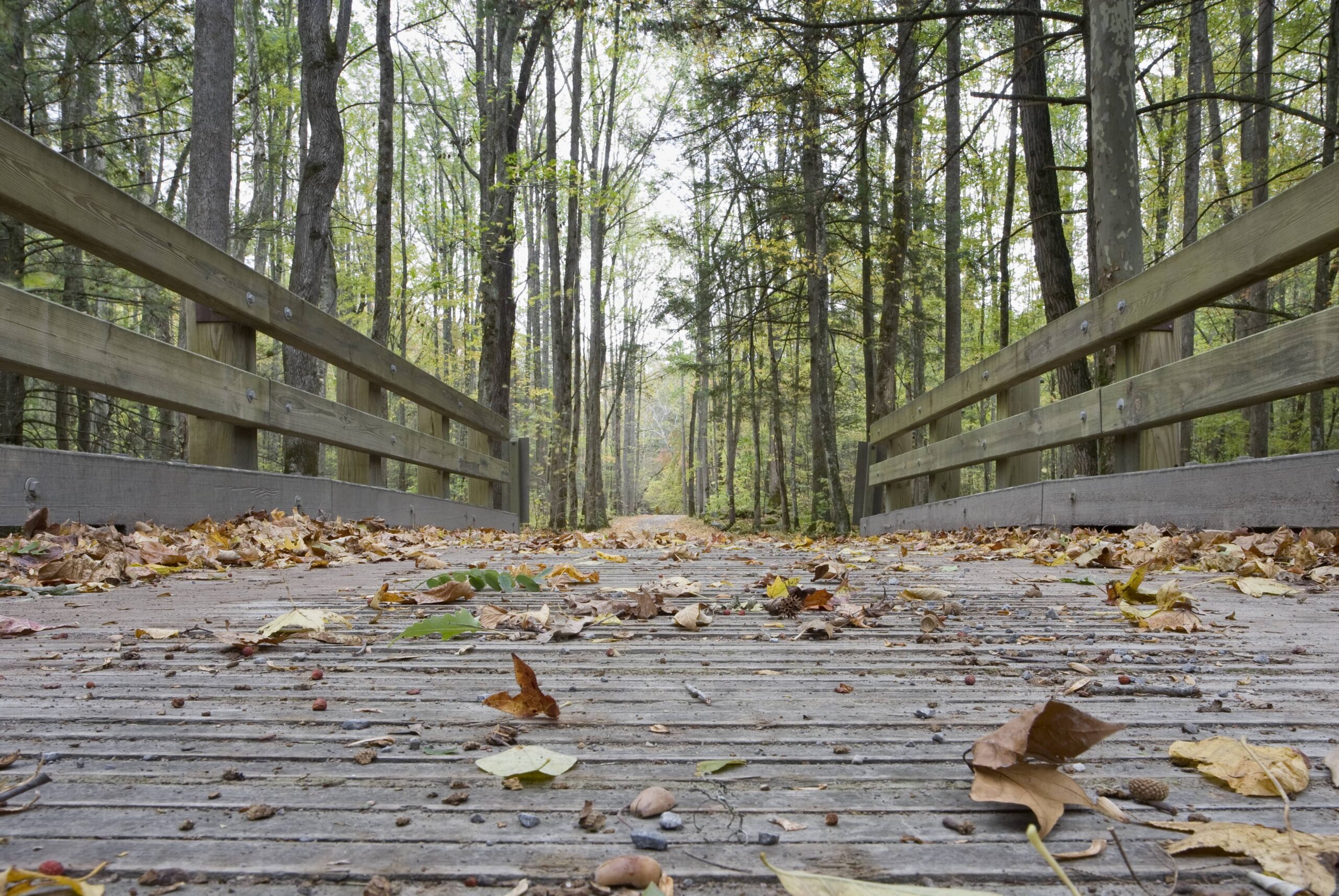 Seymour Estate Planning Lawyer – Champagne Law Firm