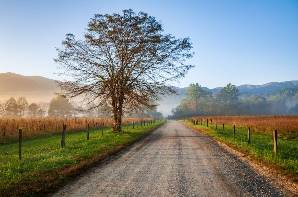 Townsend Estate Planning Lawyer – Champagne Law Firm